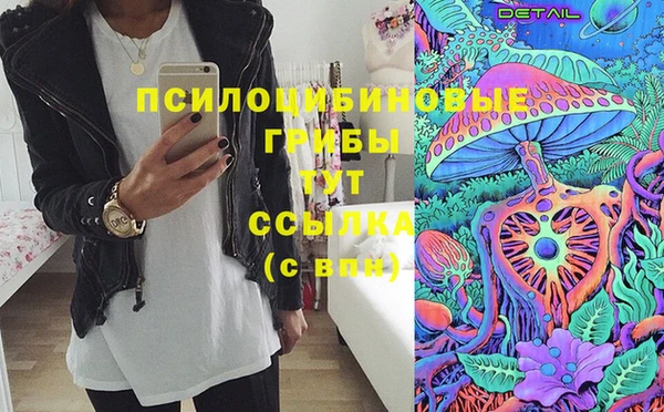 эйфоретик Алексин