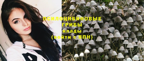 эйфоретик Алексин