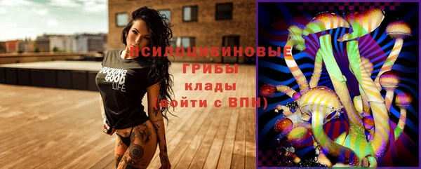2c-b Алзамай