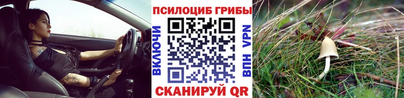 купить  сайты  Долинск  Галлюциногенные грибы прущие грибы 